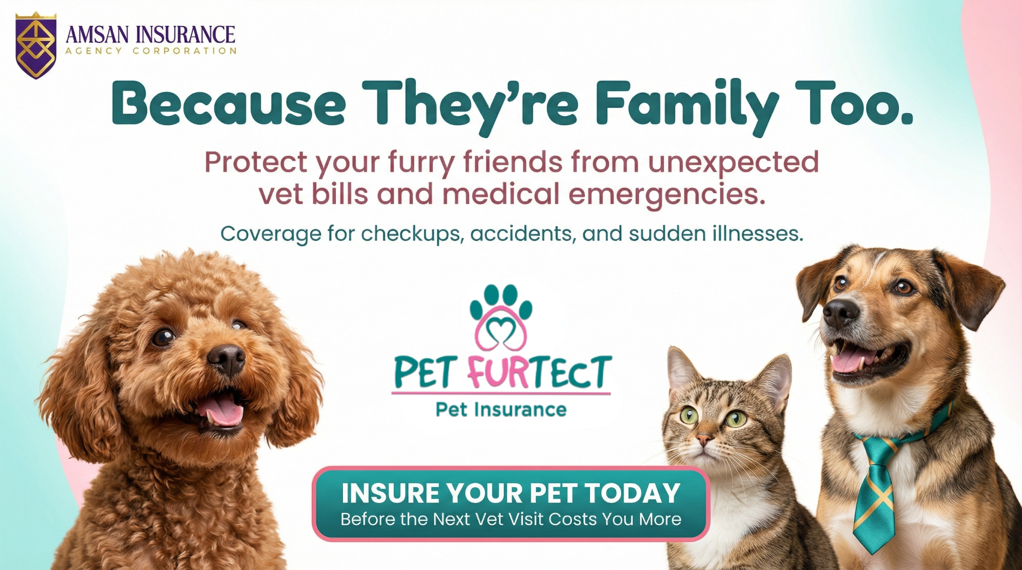Amsan Pet Insurance
